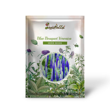 Blue Bouquet Veronica (Spicata) Spike Speedwell Herb & Flower Seeds