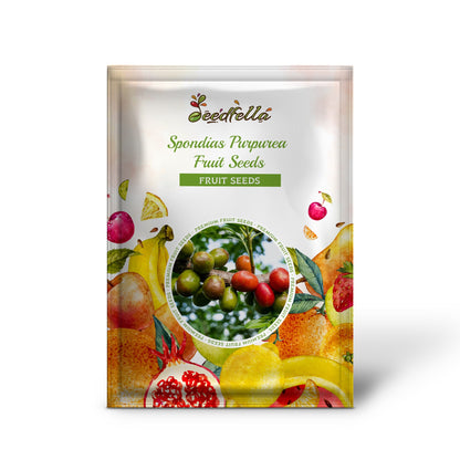Spondias Purpurea Fruit Seeds - Grow Tangy Flavors with Easy Planting