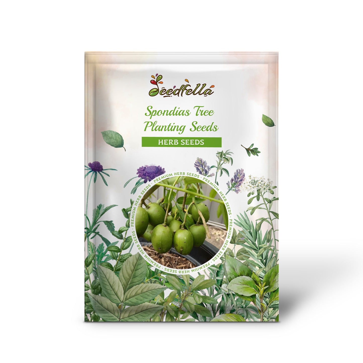 Spondias Tree Planting Seeds for Thriving Fruit Gardens