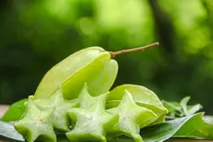 Delicious Star Fruit Averrhoa carambola Fruit Seeds for Planting in Tropical Garden