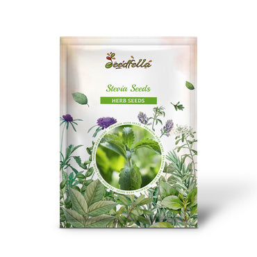 Stevia Seeds (Stevia rebaudiana)