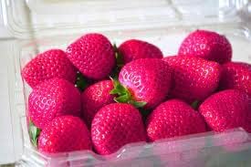 Strawberry Fruit Seeds Planting Pink heirloom non-gmo organic garden seeds