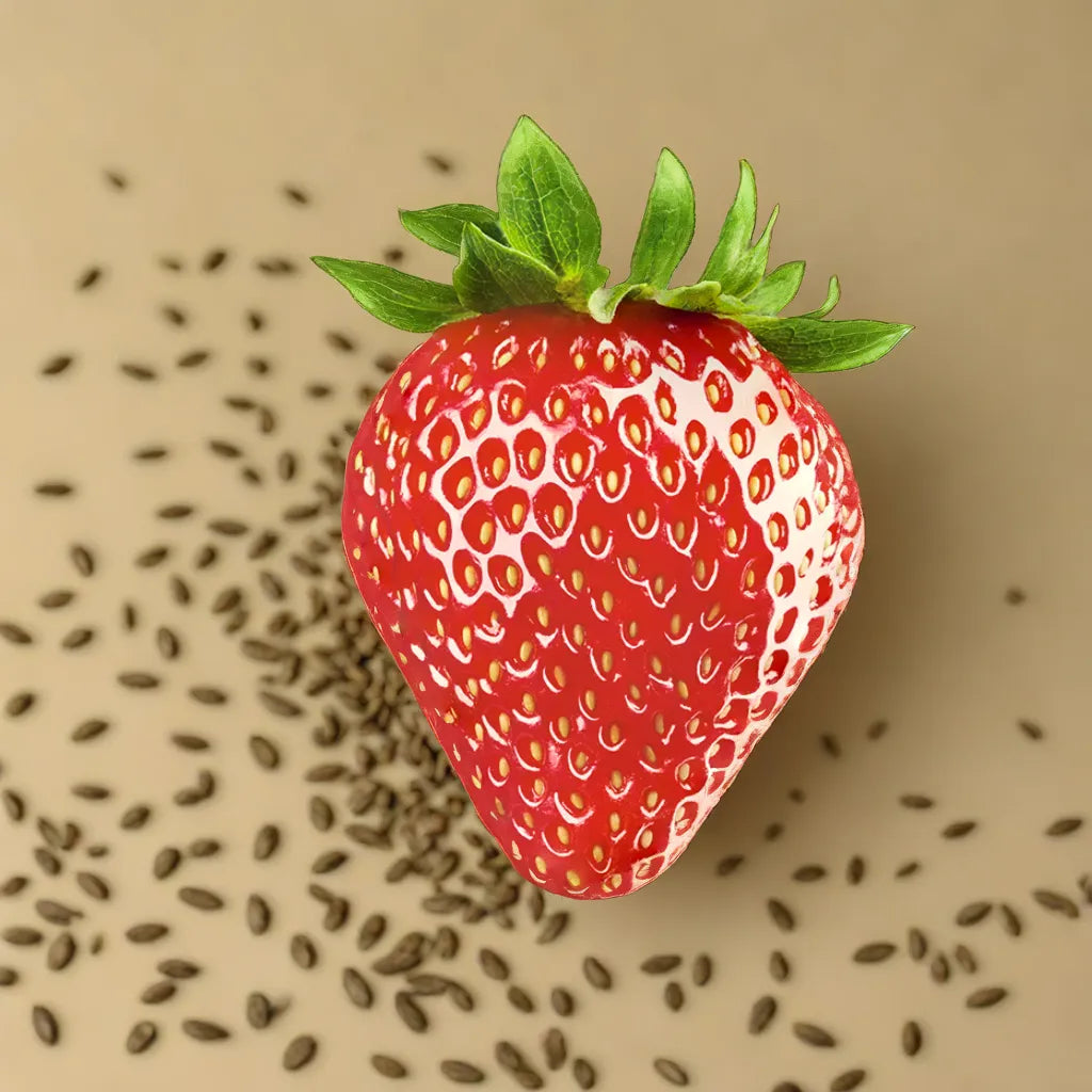 Strawberry Seeds For Easy Planting heirloom non-gmo organic garden seeds