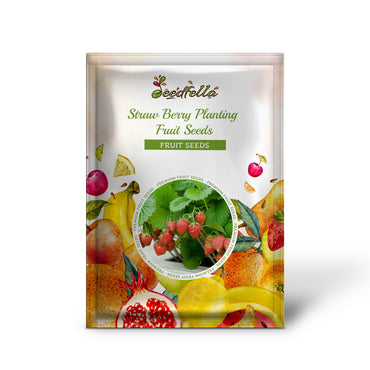 Straw Berry Planting Fruit Seeds Orange for Sweets