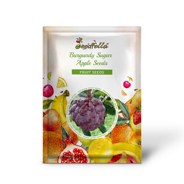 Burgundy Sugar Apple Seeds for Planting