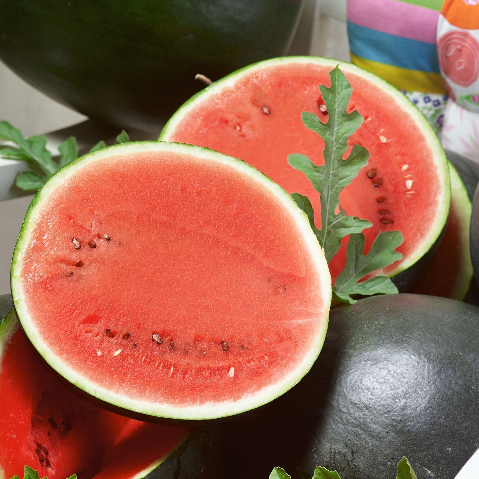 Watermelon Seeds Sugar Baby Bush heirloom non-gmo organic garden seeds