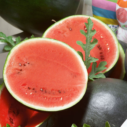 Watermelon Seeds Sugar Baby Bush heirloom non-gmo organic garden seeds