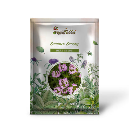 Summer Savory (Satureja hortensis) Herb Purple Flower Seeds