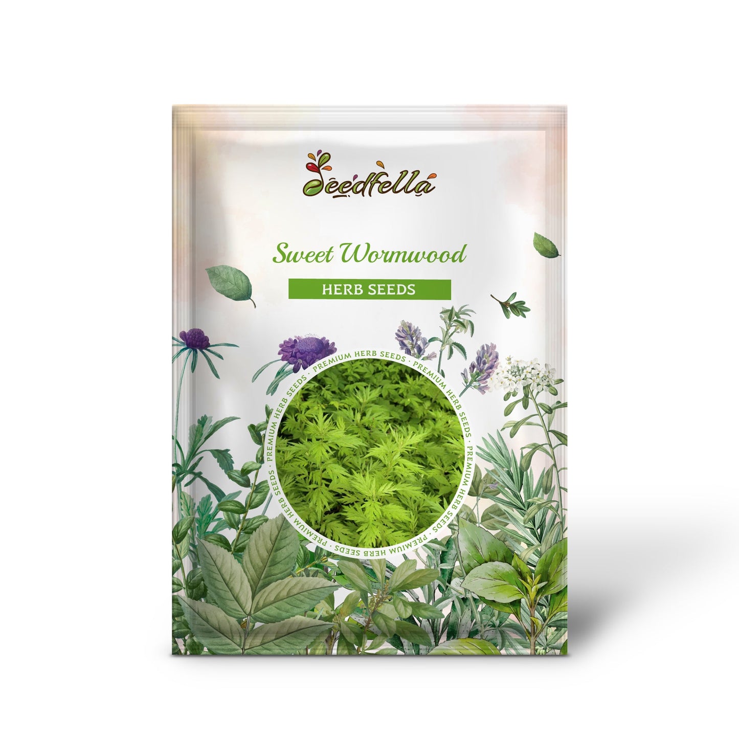 Sweet Wormwood (Artemisia Annua) Sweet Annie Mugwort Sagewort Fragrant Herb Seeds