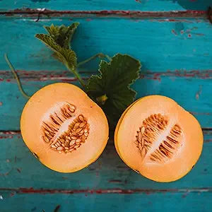 Sweet Cantaloupe Cucumis Melo Melon Fruit Seeds For Planting In Garden heirloom non-gmo organic garden seeds