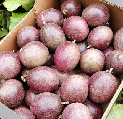 Plant Dark Purple Passion Fruit Seeds Premium Seeds for Gardening