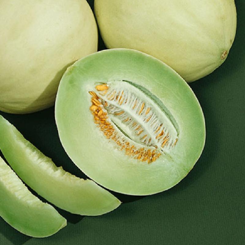Honeydew Green Flesh Melon (Cucumis melo Inodorus) Fruit Seeds