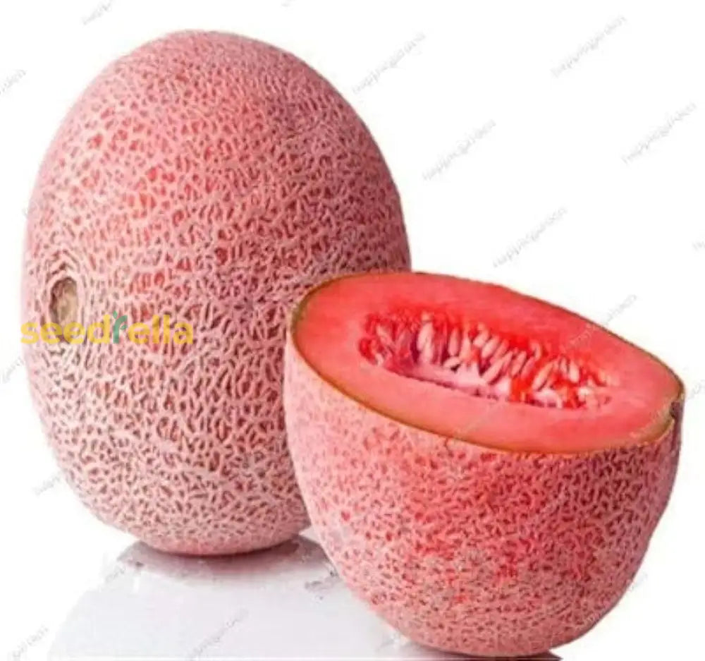 Pink Cantaloupe Seeds for Planting Sweet Melon Fruit
