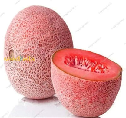 Pink Cantaloupe Seeds for Planting Sweet Melon Fruit