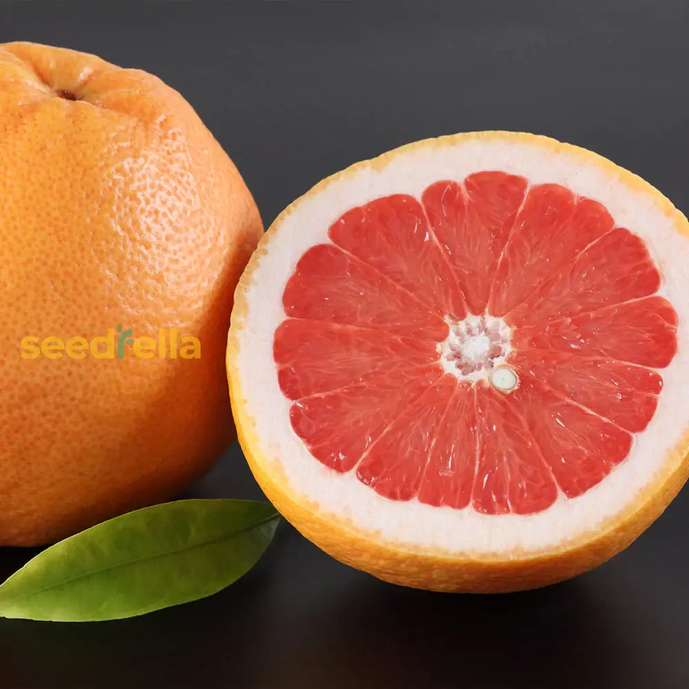 Red Sweet Grapefruit Fruit Seeds - Easy Planting for Fresh Citrus