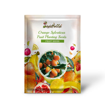 Orange Sylvaticus Fruit Planting Seeds - Grow Delicious Fruits in Your Garden