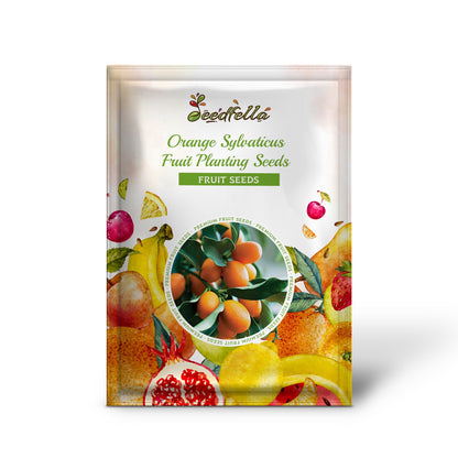 Orange Sylvaticus Fruit Planting Seeds - Grow Delicious Fruits in Your Garden