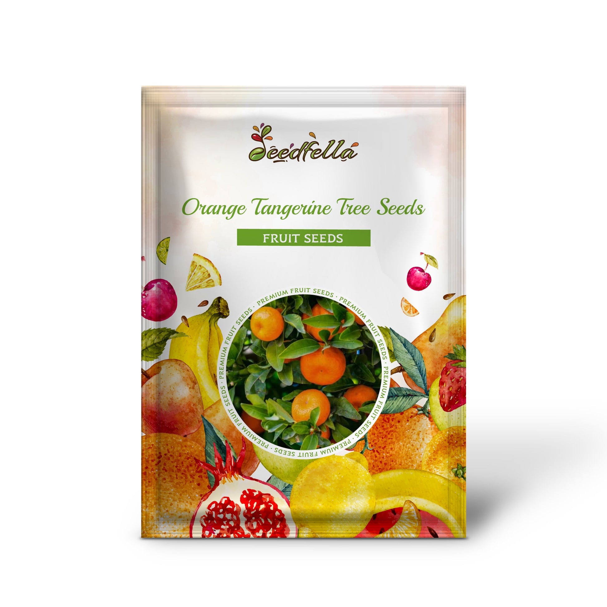 plant tangerine seeds Orange Tangerine Tree Seeds For Planting
