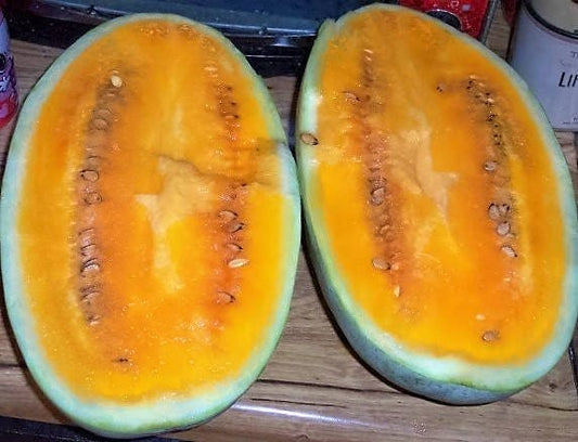 Tendersweet Orange Watermelon Citrullus Lanatus Orange Flesh Melon Seeds heirloom non-gmo organic garden seeds