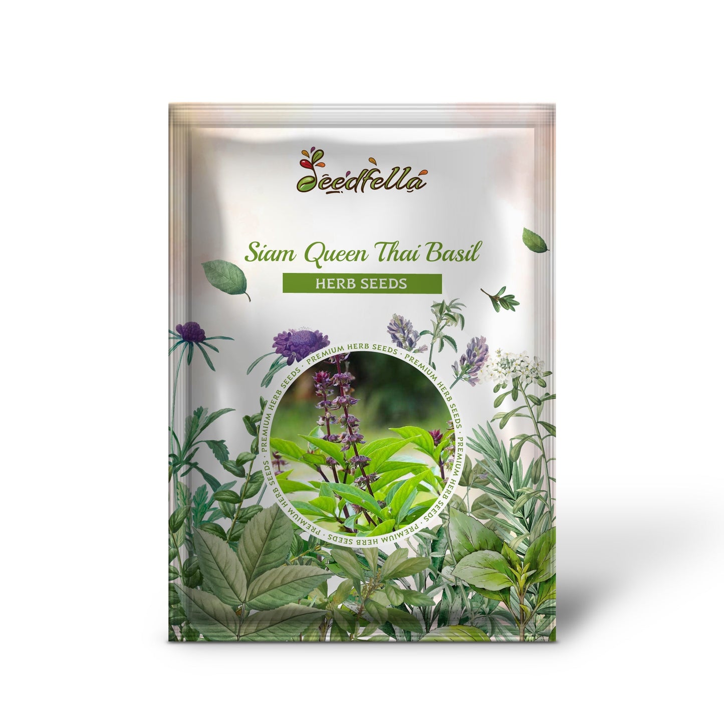 Siam Queen Thai Basil (Ocimum thyrsiflora) Herb & Flower Seeds