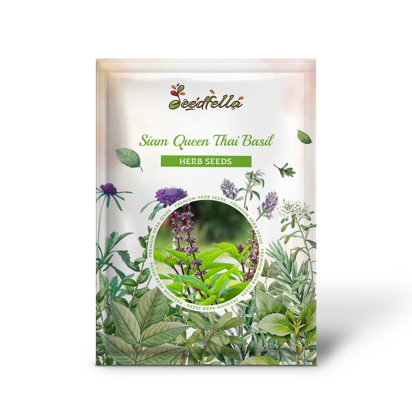 Siam Queen Thai Basil (Ocimum basilicum var. thyrsiflora) Seeds