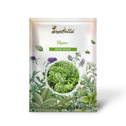 Thyme (Common, English, German, French, Garden, or Winter) (Thymus vulgaris) Herb Flower Seeds
