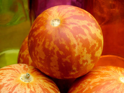 Tigger Tiger Melon Cucumis Melo Edible Muskmelon & Ornamental Vine Seeds heirloom non-gmo organic garden seeds