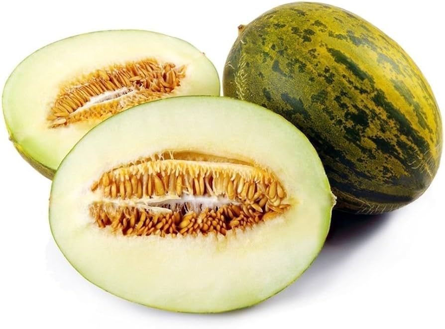 Toadskin Melon Seeds Krötenhaut Melonenfruchtsamen heirloom non-gmo organic garden seeds