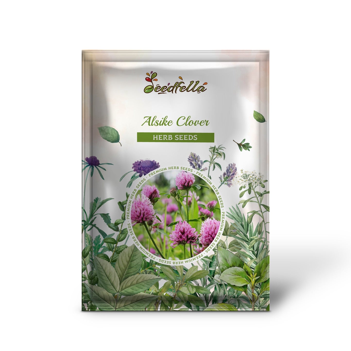 Alsike Clover (Trifolium hybridum) Pink & White Flower Legume Seeds