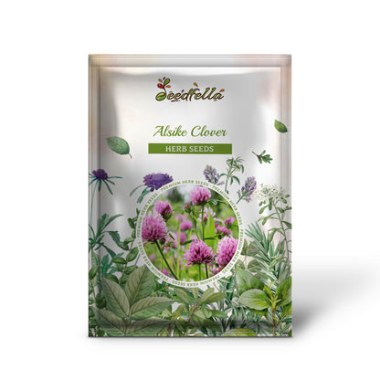 Alsike Clover (Trifolium hybridum) Pink & White Flower Legume Seeds