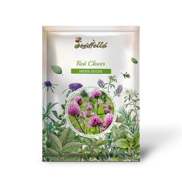 Red Clover (Trifolium pratense) Monarchs Rose-Mauve Flower Ground Cover Seeds