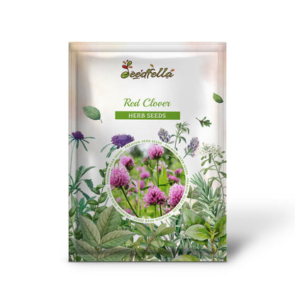 Red Clover (Trifolium pratense) Monarchs Rose-Mauve Flower Ground Cover Seeds