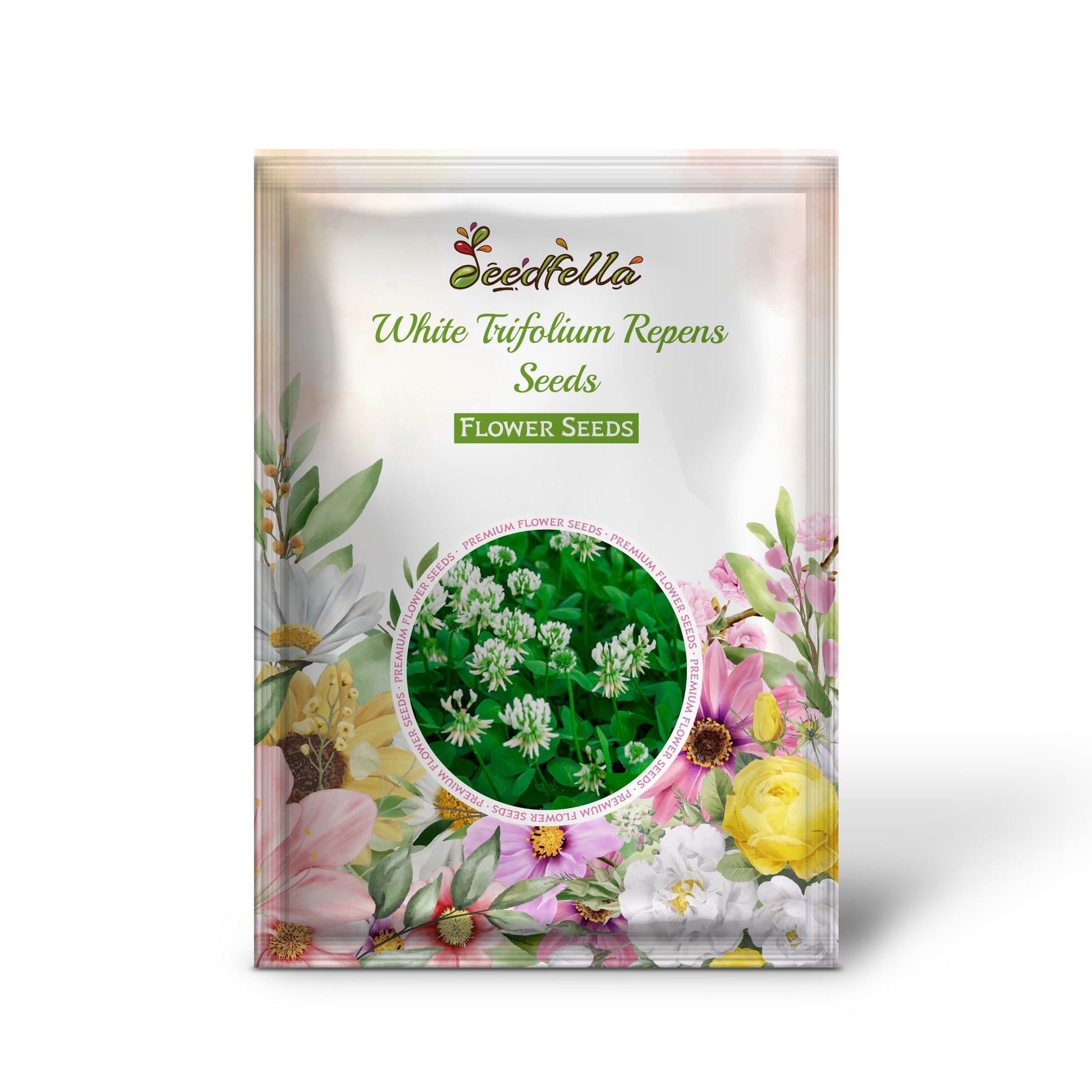 Trifolium Repens White Clover Seeds for Lush Green Lawns