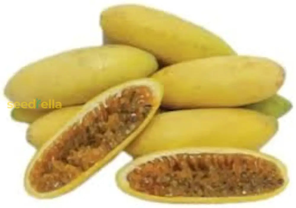 Banana Passion Fruit Seeds for Planting - Premium Garden Seeds