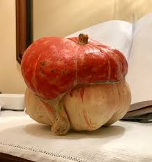 Turks Turban Vegetable Seeds for Unique Gourd Cultivation - Seed for Creative Gardening and Distinctive Harvests