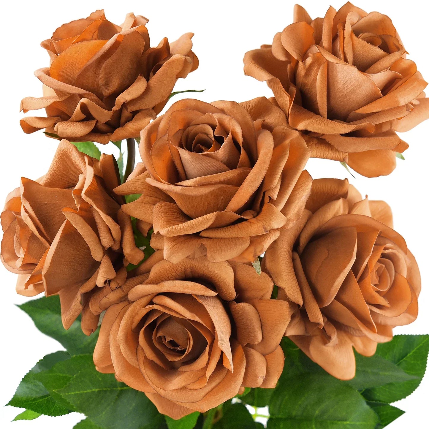 Unique Brown Rose Flower Seeds for Planting – Elegant Garden Blooms