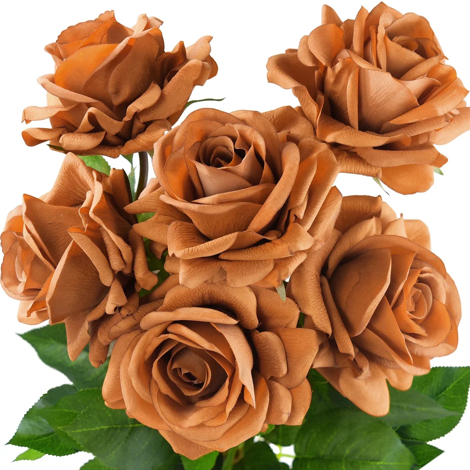 Unique Brown Rose Flower Seeds for Planting – Elegant Garden Blooms