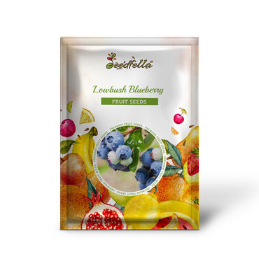 Lowbush Blueberry (Vaccinium angustifolium) Dwarf Blueberry Fruit Shrub Seeds