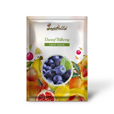 Dwarf Bilberry (Vaccinium caespitosum) Dwarf Blueberry Whortleberry Evergreen Shrub Seeds