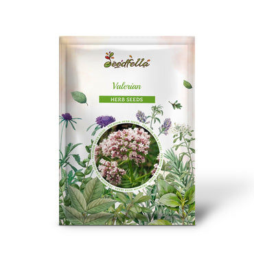 Valerian (Garden Heliotrope / Heal All) (Valeriana officinalis) Herb Flower Seeds