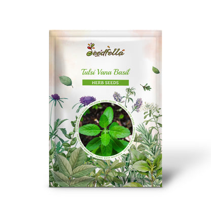 Tulsi Vana Basil (Ocimum gratissimum) Seeds