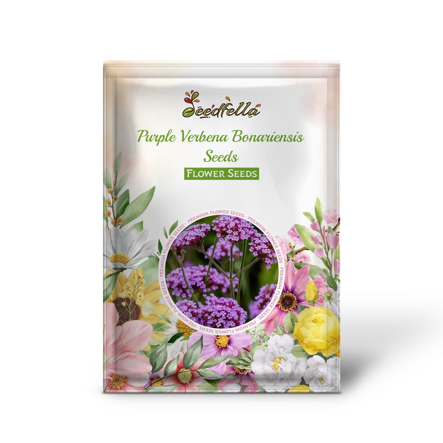 Verbena Bonariensis Purple Blooms in Garden