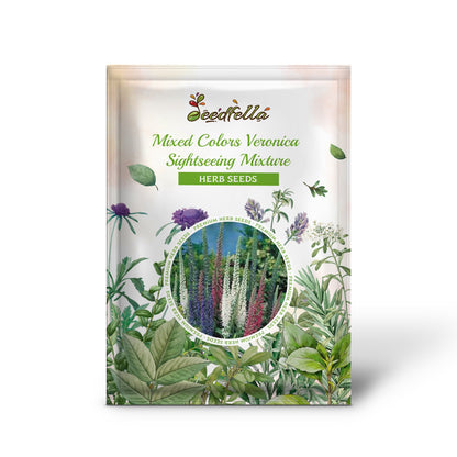 Mixed Colors Veronica Sightseeing Mixture (Spike Speedwell) Veronica Spicata Flower Seeds