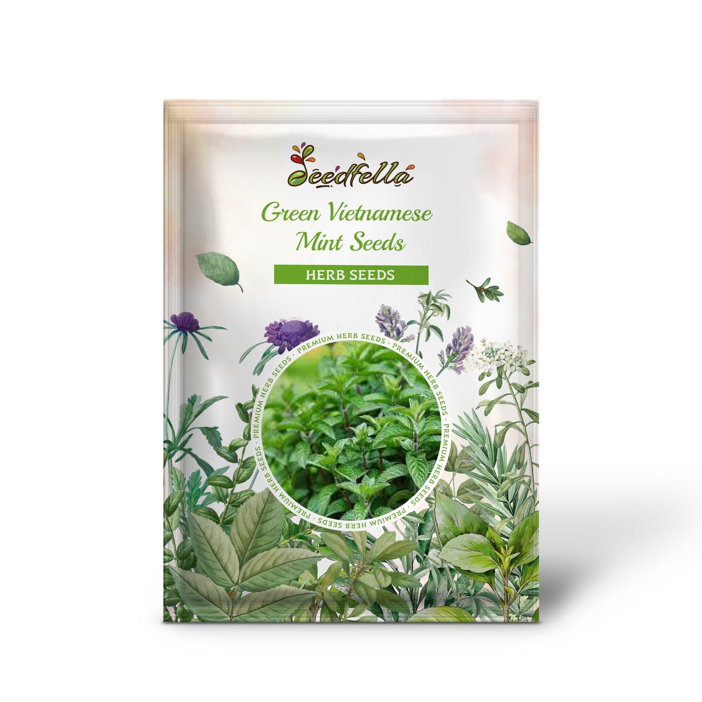 Green Vietnamese Mint Seeds for Planting