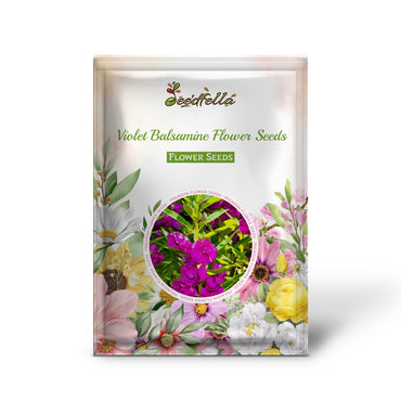 Violet Balsamine Blooming Flowers  Balsam Seeds for Vibrant Gardens