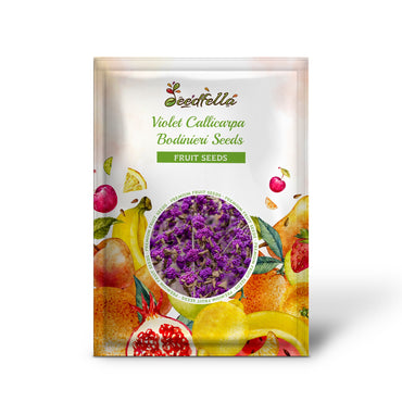 Violet Callicarpa Bodinieri Seeds for Planting Stunning Fruit-Bearing Plants