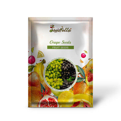 Grape Seeds for Planting - Cultivate a Variety of Tasty Grapes!