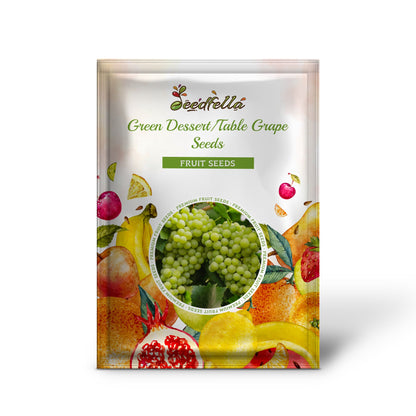 Green Dessert/Table Grape (Vitis vinifera) Fruit Vine Seeds