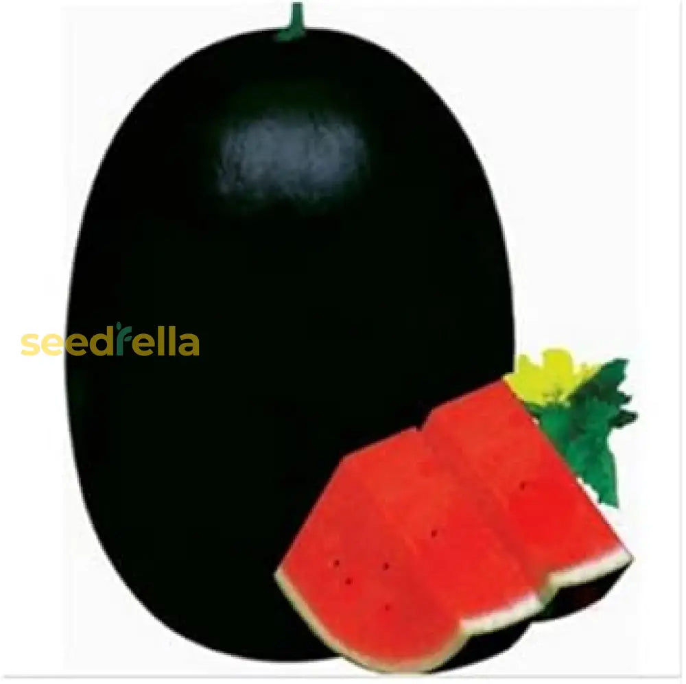 Black Watermelon Seeds for Planting - Grow Your Own Delicious Fruit