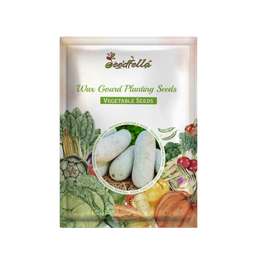 Wax Gourd Planting Seeds Ideal for Your Vegetable Garden